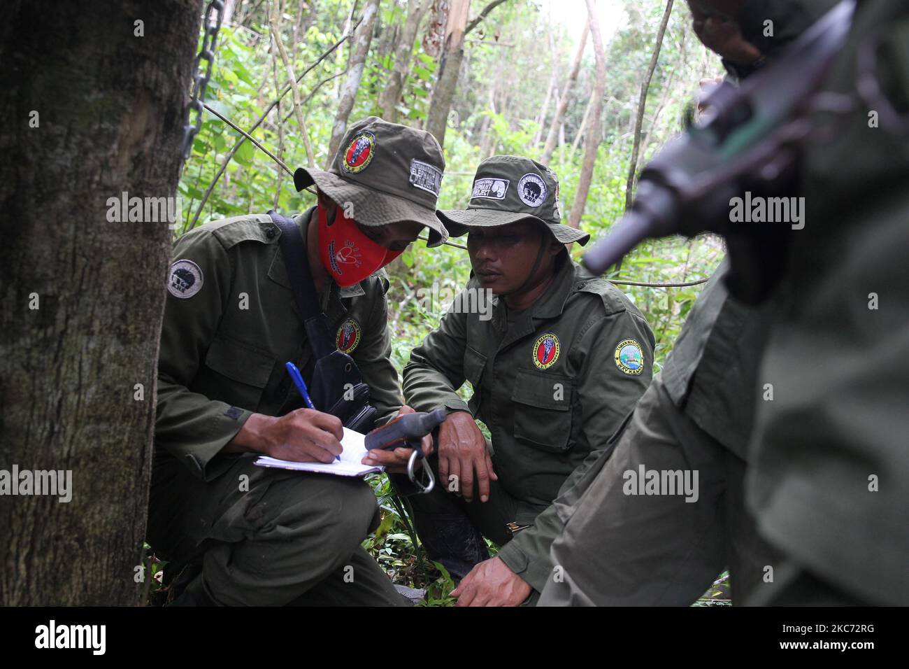 Team from the Elephant Response Unit (ERU) Patrol conducts area inspection and camera trap checks in the Way Kambas National Park area, Bungur area, Lampung, Sumatra on January, 6, 2021. (Photo by Dasril Roszandi/NurPhoto) Stock Photo