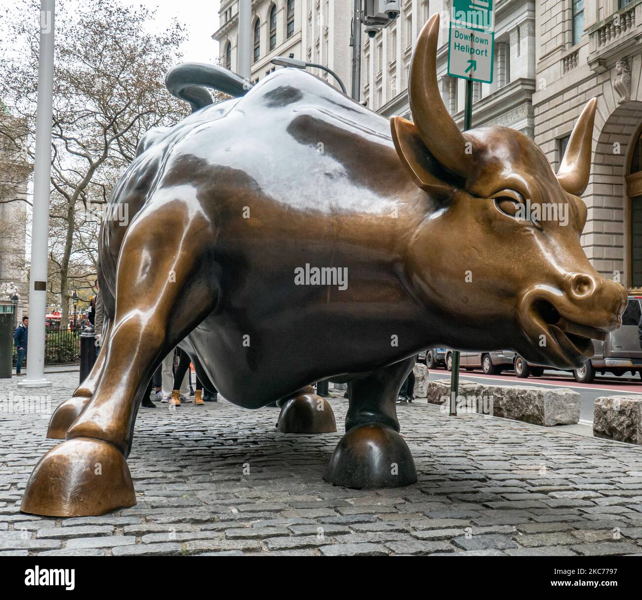 The Charging Bull bronze sculpture, also known as Wall Street Bull or