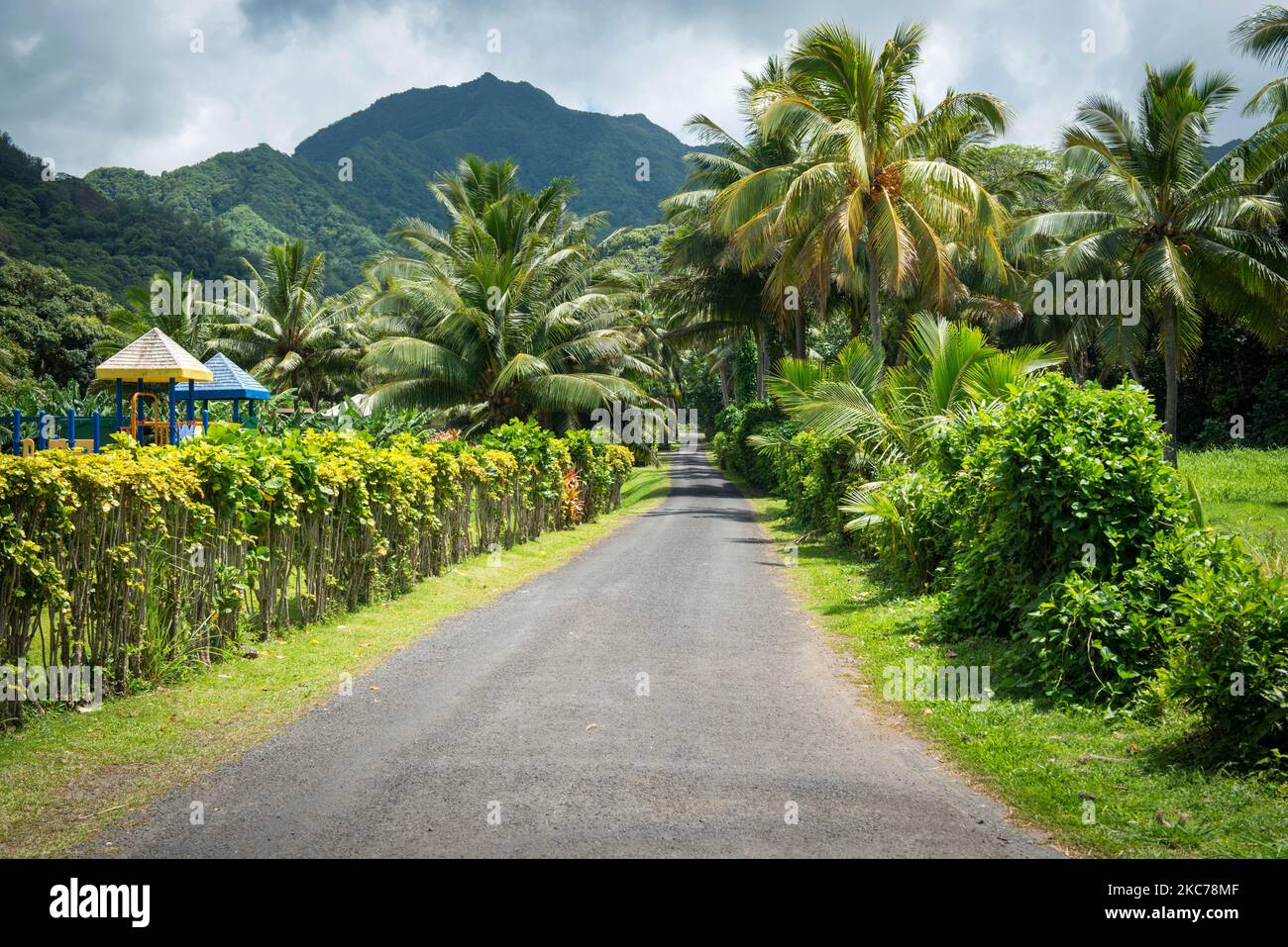 A long asphalt road stretching through the lush green vegetation of a ...