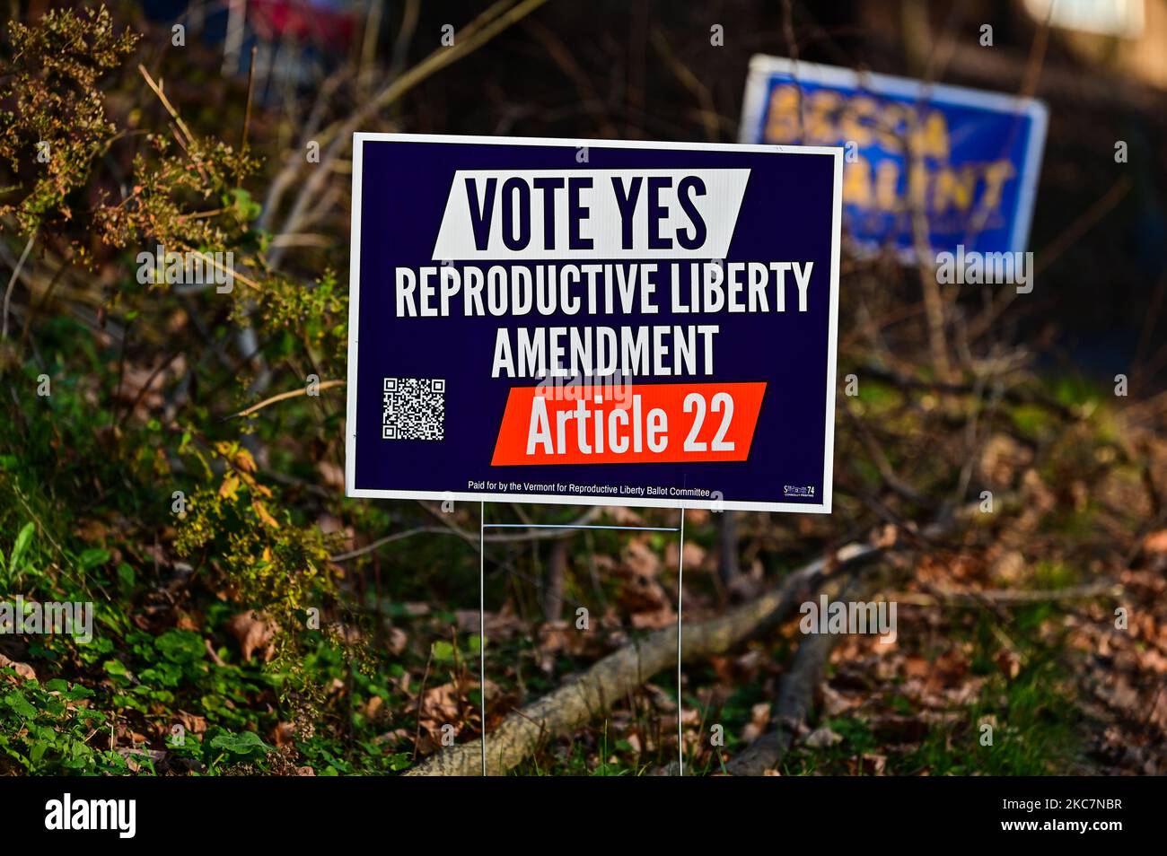 Vermont demonstrators in favor of reproductive rights amendment to the Vermont state constitution, Montpelier, Vermont, New England, USA. Stock Photo