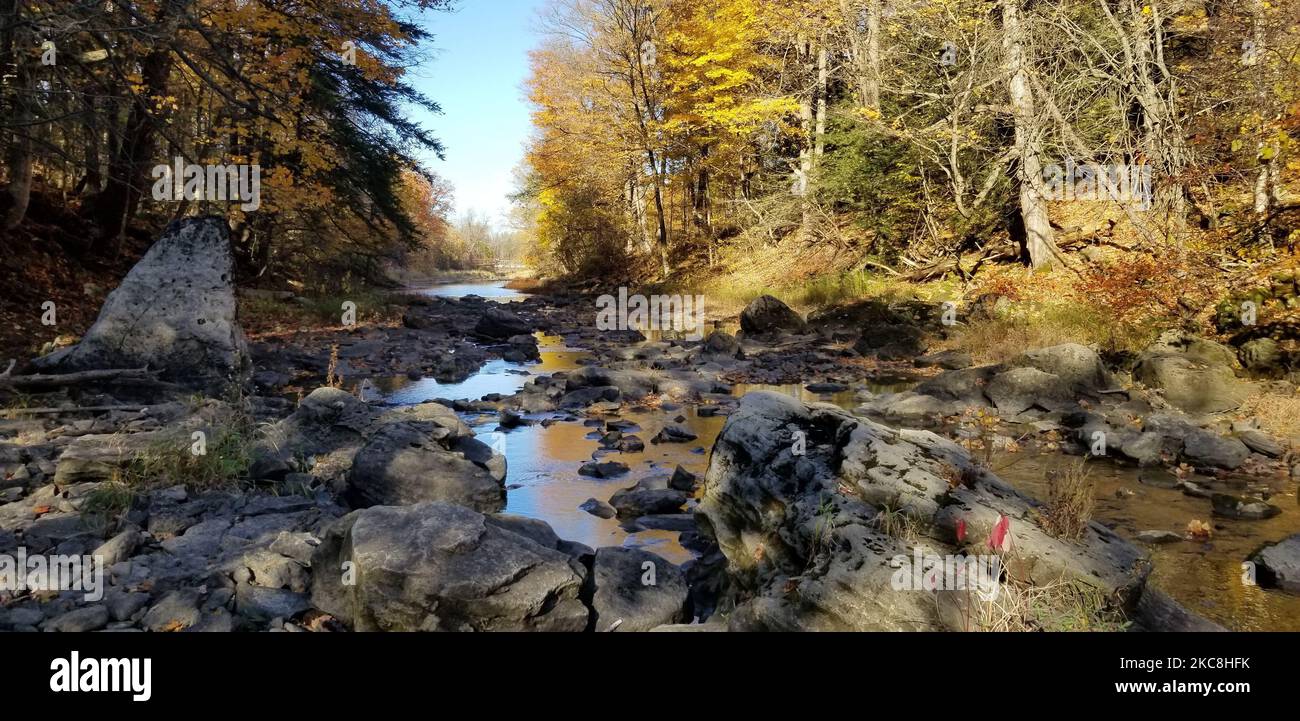 A stream flowing through stones and lush vegetation in Ball's Falls