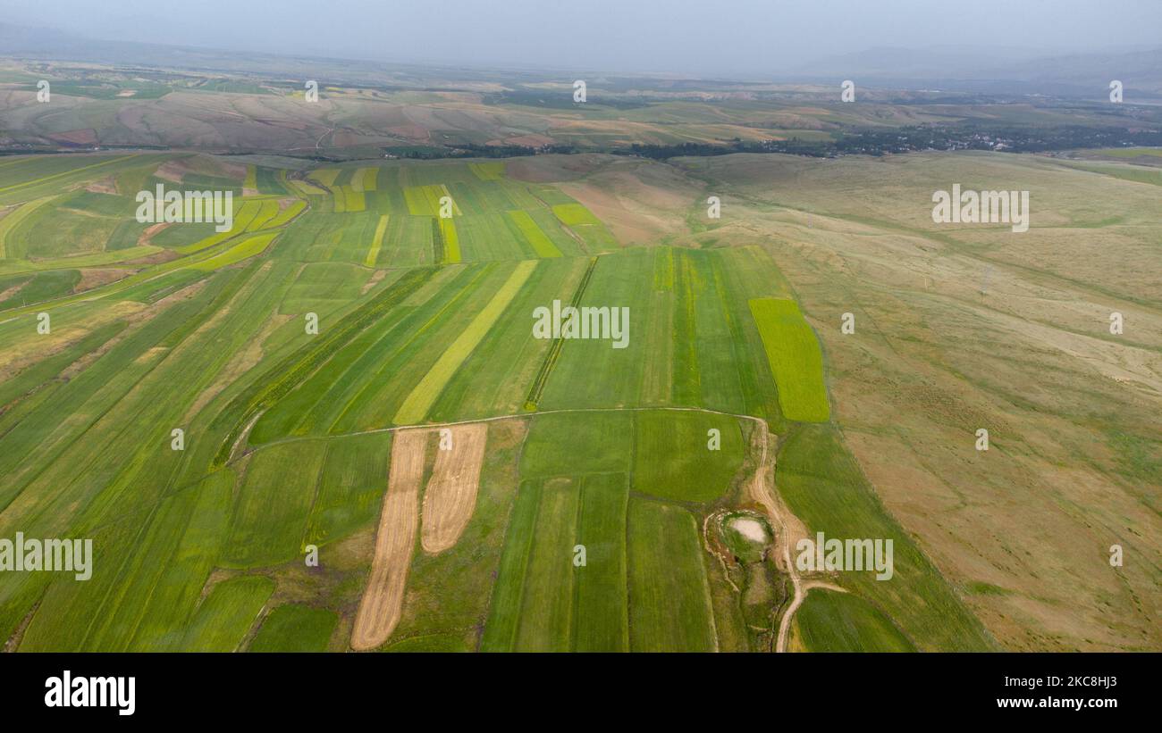An aerial view of green meadows and fields Stock Photo - Alamy