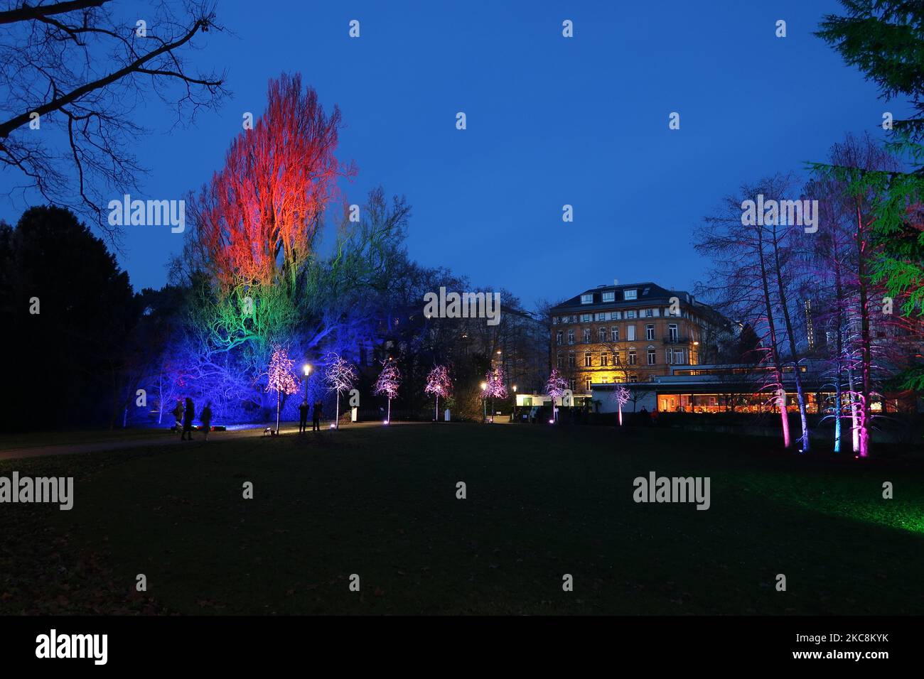 The illuminated festive Christmas lights in the palm garden in Frankfurt, Germany Stock Photo