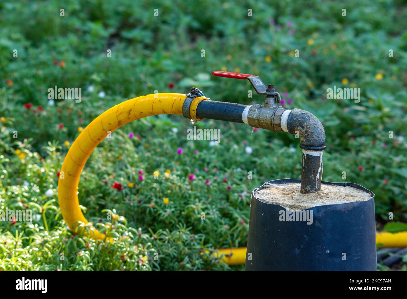 An angle valve attached to a water pipe in a garden Stock Photo Alamy