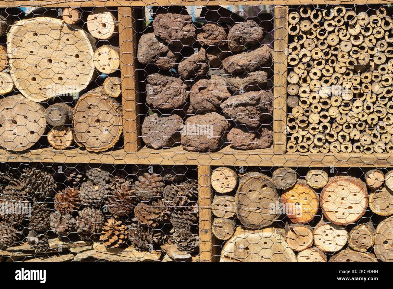 Squares with different textures of wood and stones prepared for insect ...