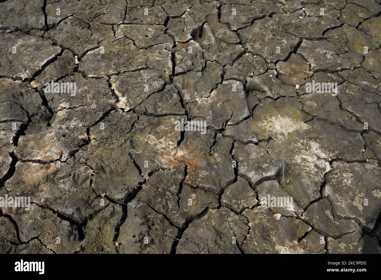 Deep cracks seen in a field as rise of sea-level causes deep cracks by leaving salt on ground after evaporation in Satkhira, Bangladesh on Sunday, February 21, 2021. (Photo by Kazi Salahuddin Razu/NurPhoto) Stock Photo