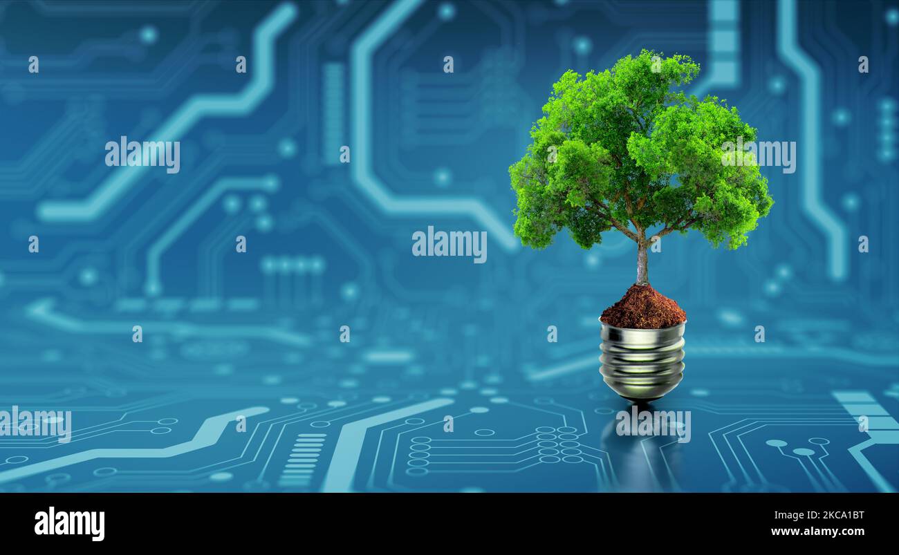 Tree with soil growing on Light bulb. Digital Convergence and and Technology Convergence. Blue light and network background. Green Computing. Stock Photo