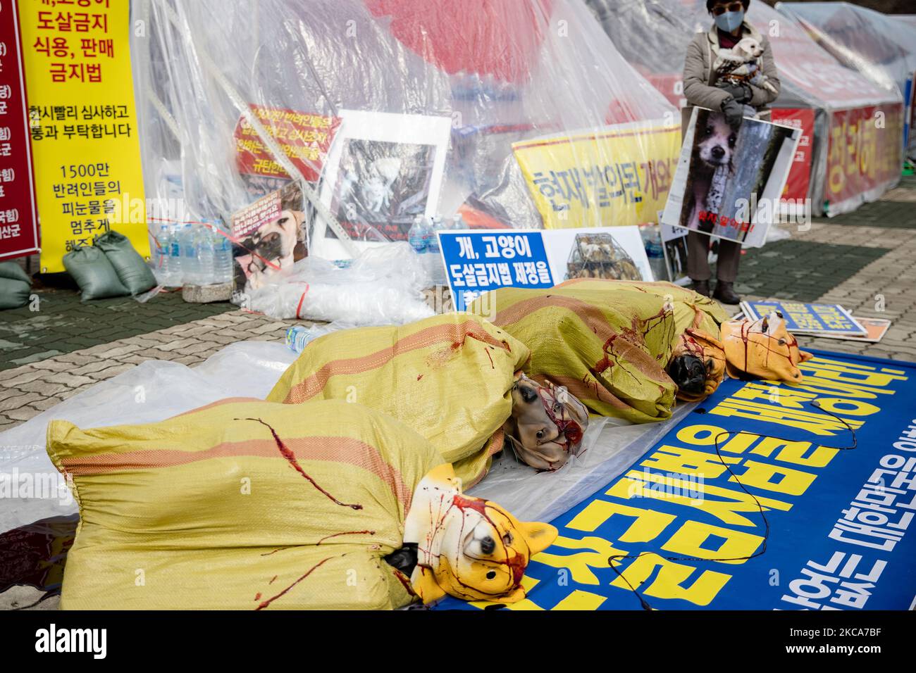 Members of civic groups, including the Korea Animal Protection