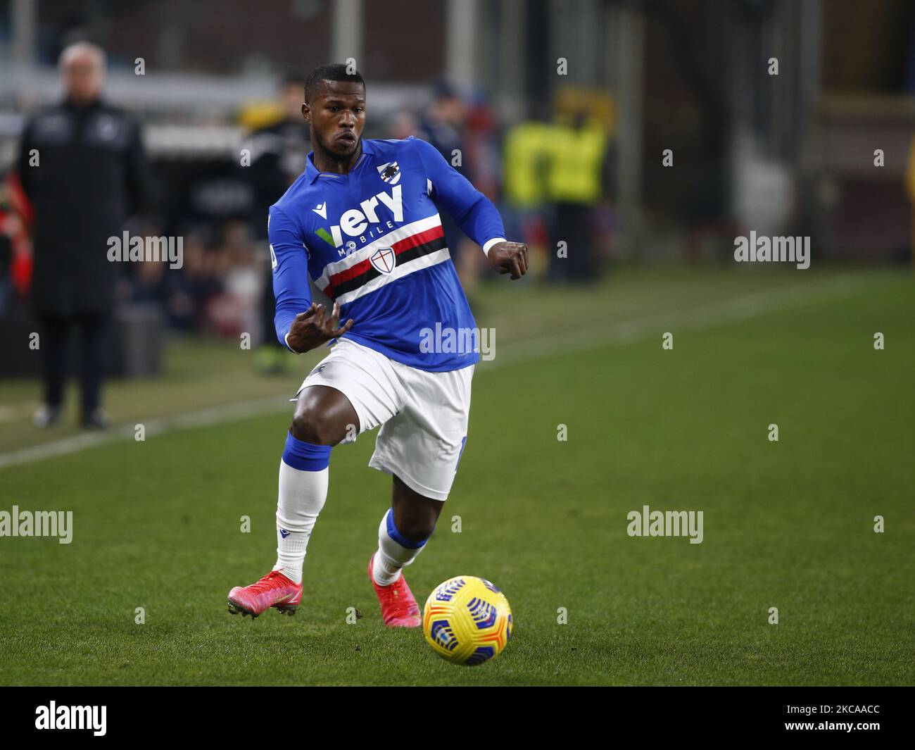 Balde hi-res stock photography and images - Page 14 - Alamy, image size:1300x1065