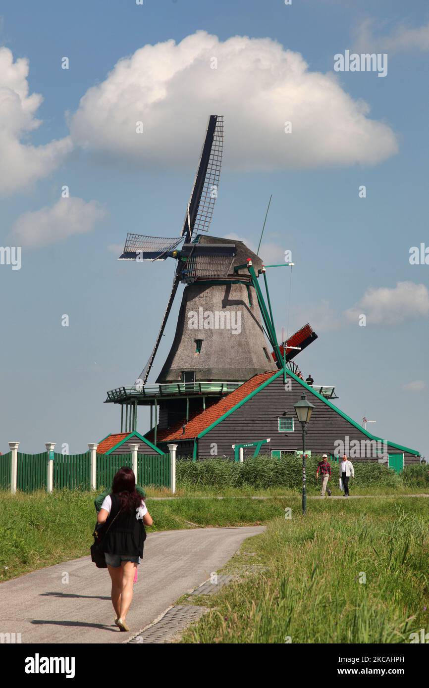 Windmill ltd 2024