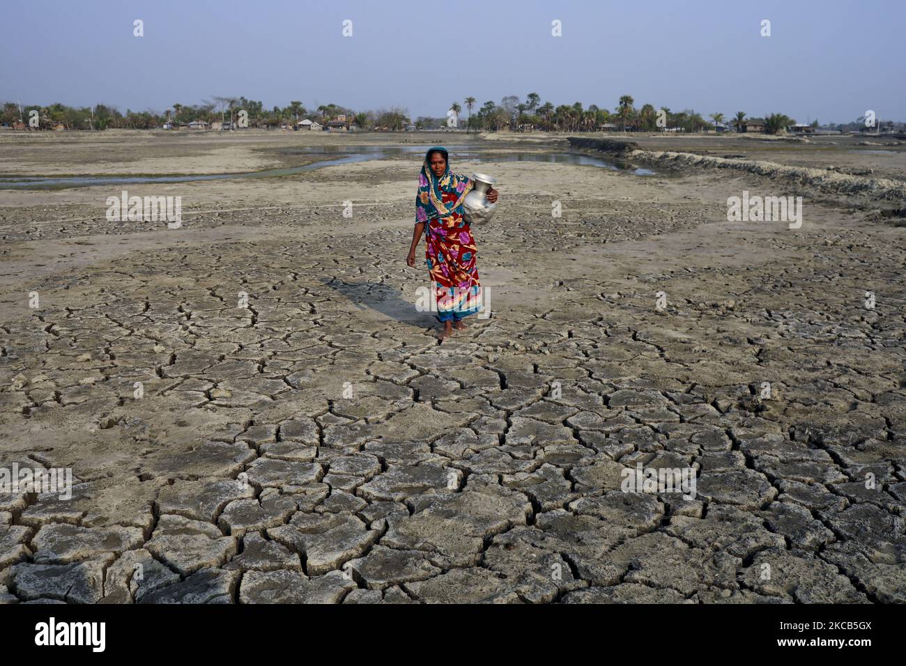 A woman is collecting drinking water, Salinity effect seen in soil as a result trees has died after Cyclone amphan hit in Satkhira, Bangladesh on March 20, 2021. Deep cracks seen in a field as rise of sea-level causes deep cracks by leaving salt on ground after evaporation. Bangladesh is one of the countrys most vulnerable to the effects of climate change. The regular and severe natural hazards that Bangladesh already suffers from tropical cyclones, river erosion, flood, landslides and drought are all set to increase in intensity and frequency as a result of climate change. Sea level rise will Stock Photo
