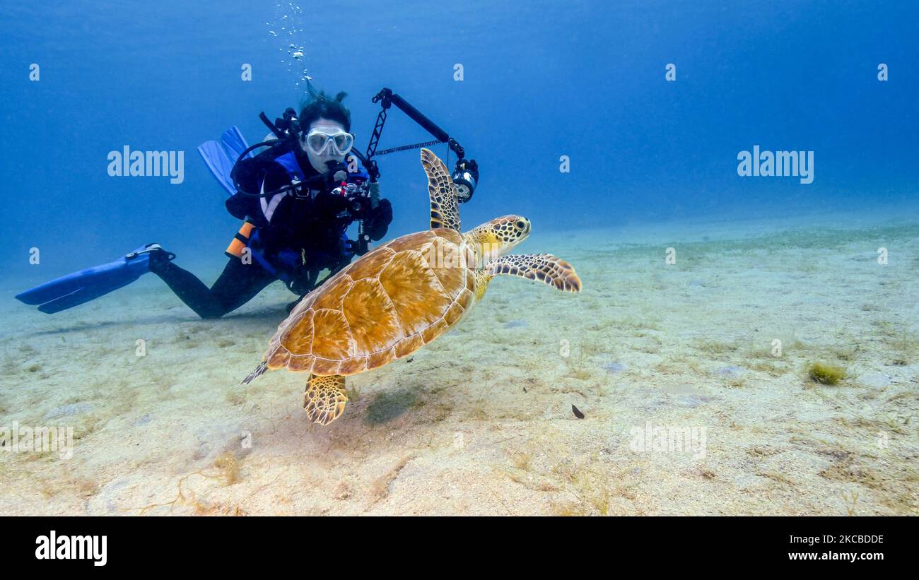 Female scuba diver camera taking hi res stock photography and