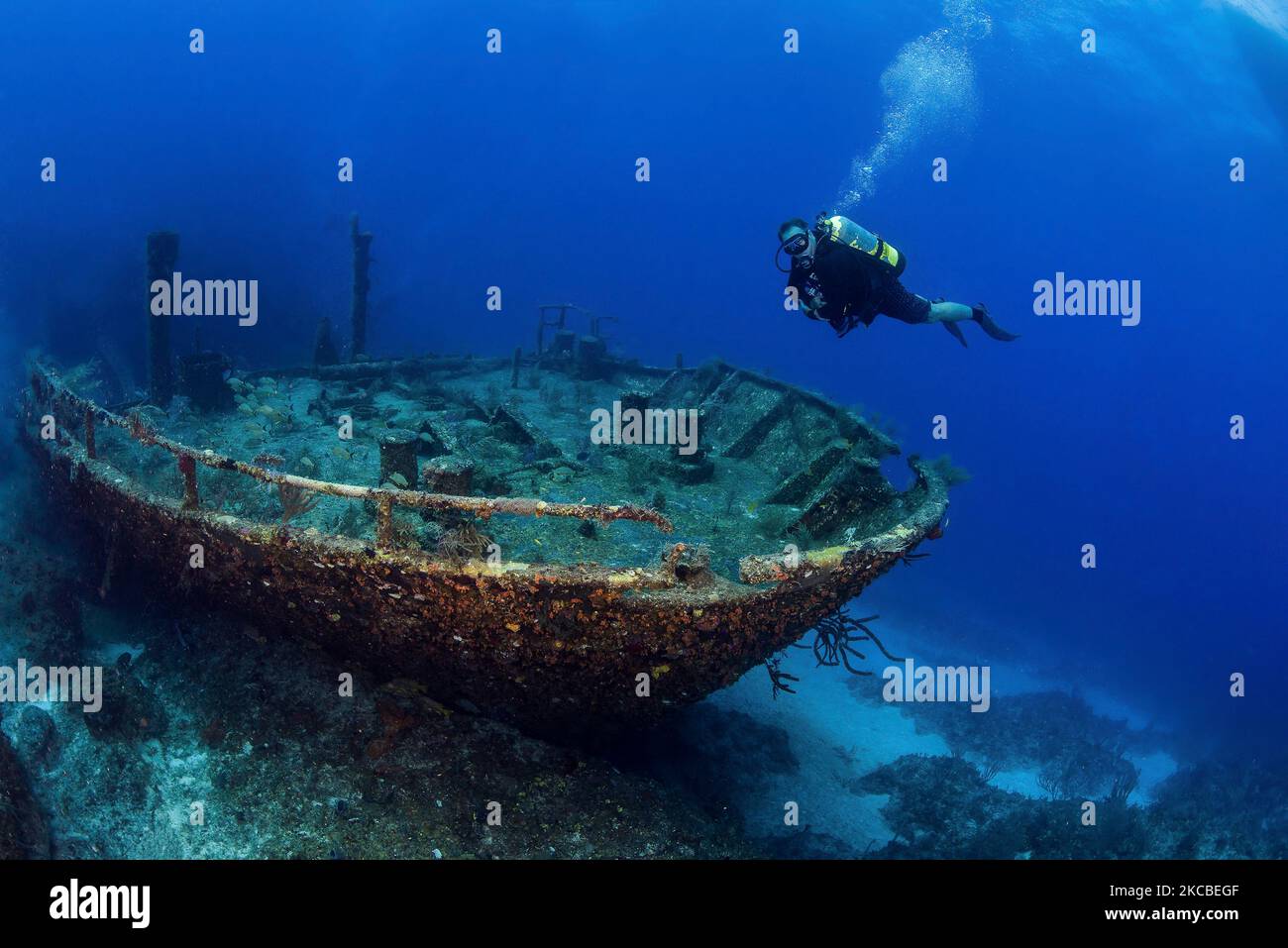 A diver explores the bow of the Sea Star II wreck, Grand Bahama, Bahamas. Stock Photo