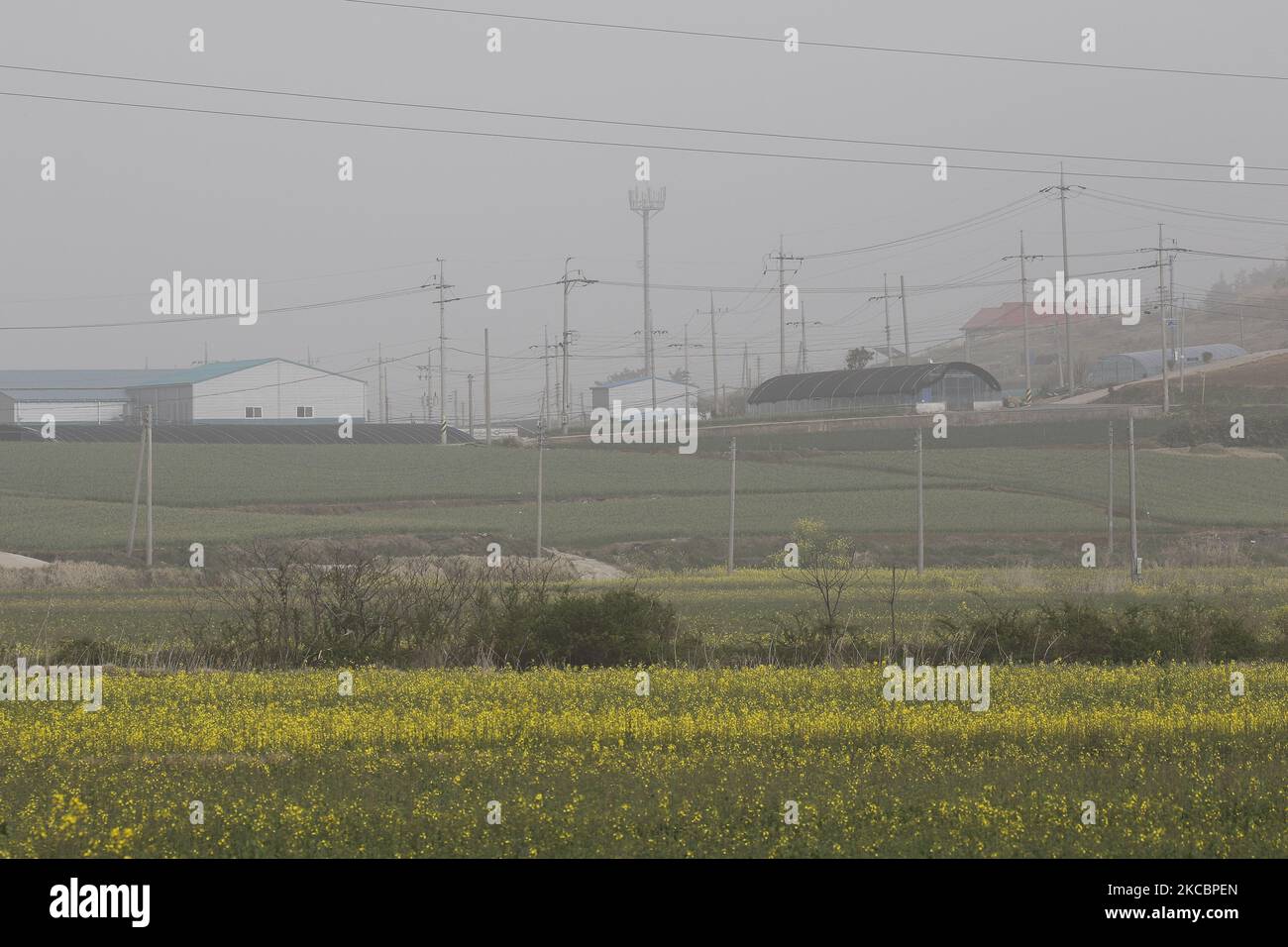 A Worst Yellow Dust covered island village in ShinanGun, south west of Seoul, South Korea. An