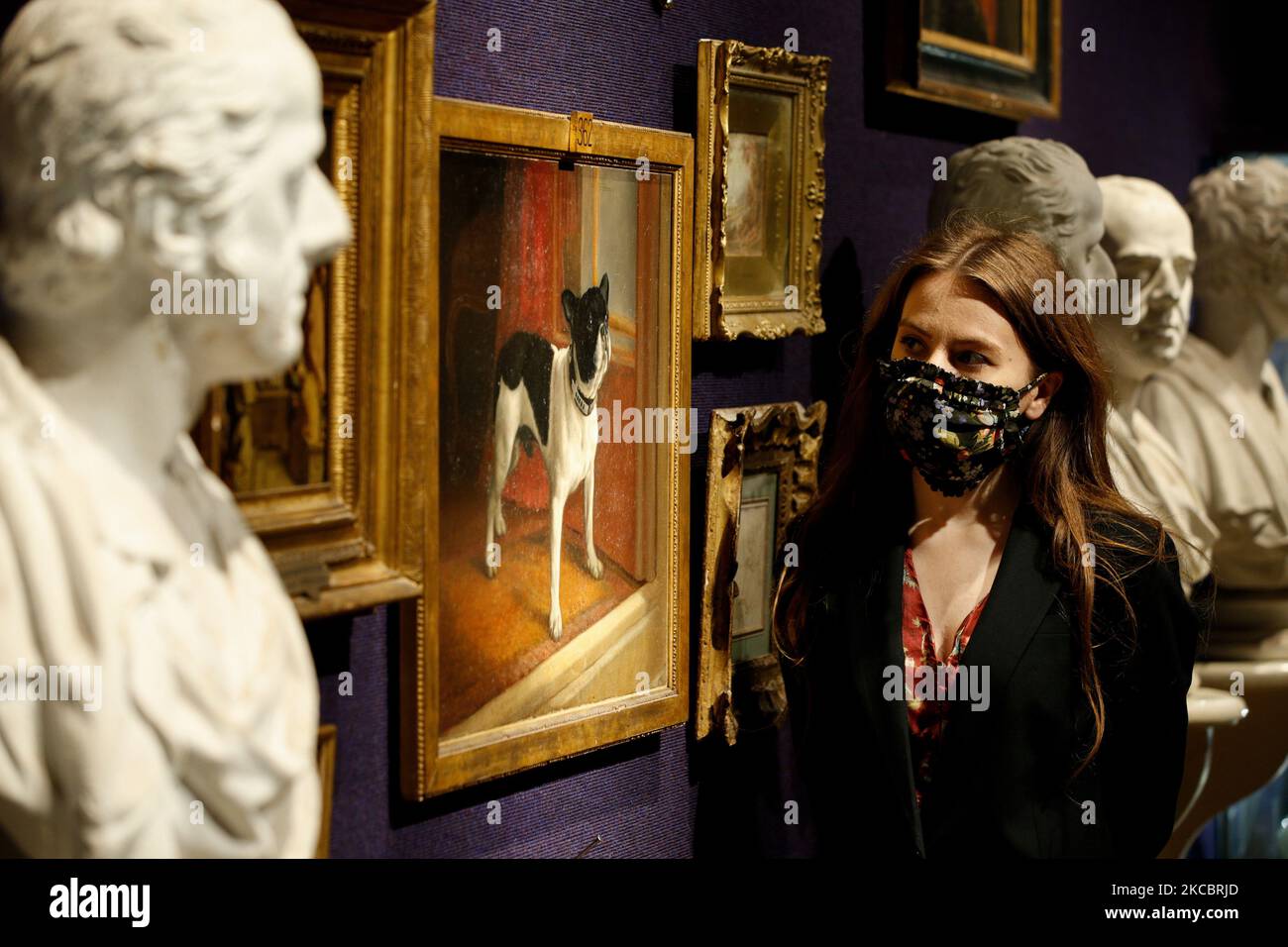 A member of staff poses looking at a painting of French bulldog Millicent, the Duchess of Sutherland's first pet dog in the 1890s, by British artist W. Cheesman, estimated at GBP1,000-1,500, during a press preview for the upcoming sale of items from Scotland's Dunrobin Castle, under instruction from the 25th Earl of Sutherland, at Bonhams auction house in London, England, on March 30, 2021. The sale itself takes place on April 20 in Edinburgh. (Photo by David Cliff/NurPhoto) Stock Photo