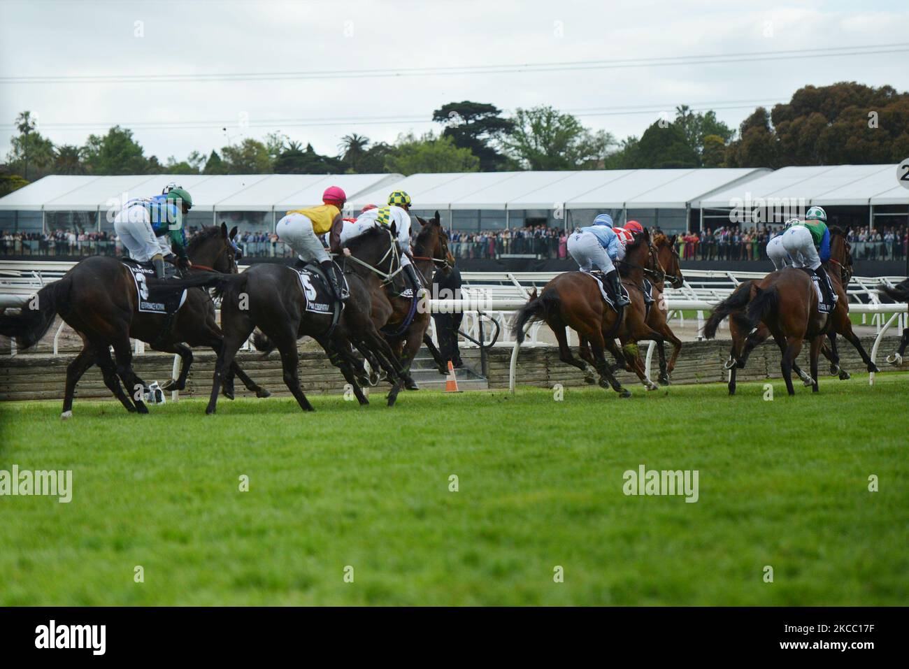 Flemengton racing club hires stock photography and images Alamy