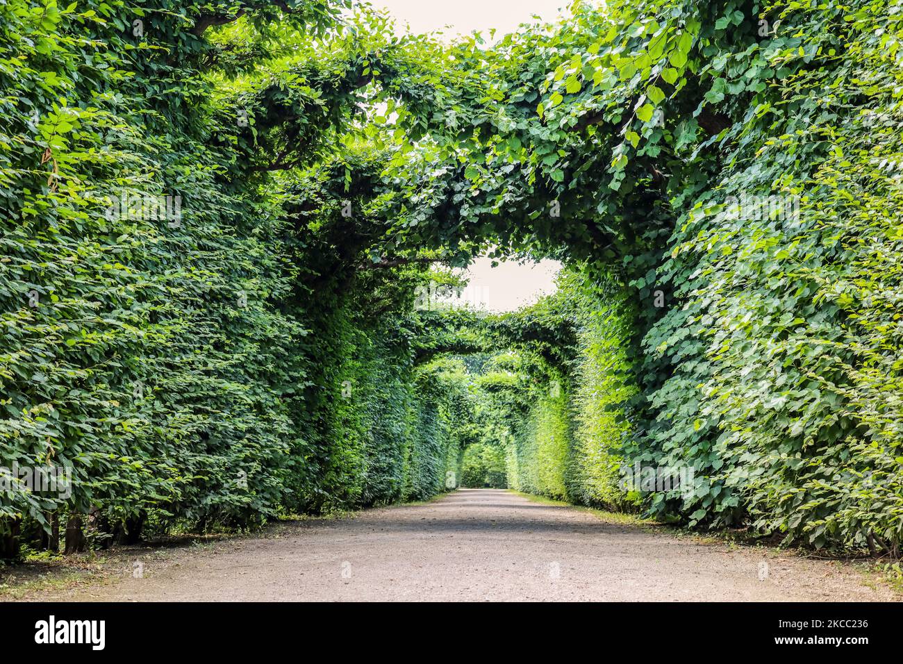 Beautiful alley in green park Stock Photo - Alamy