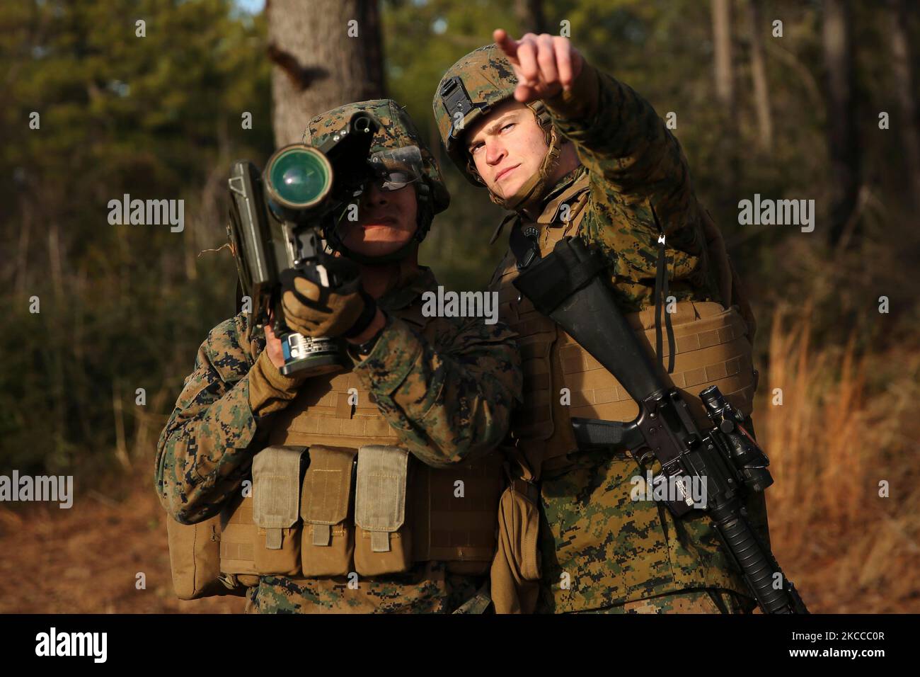 U.S. Marines locate a simulated enemy target during ground-based air defense training. Stock Photo