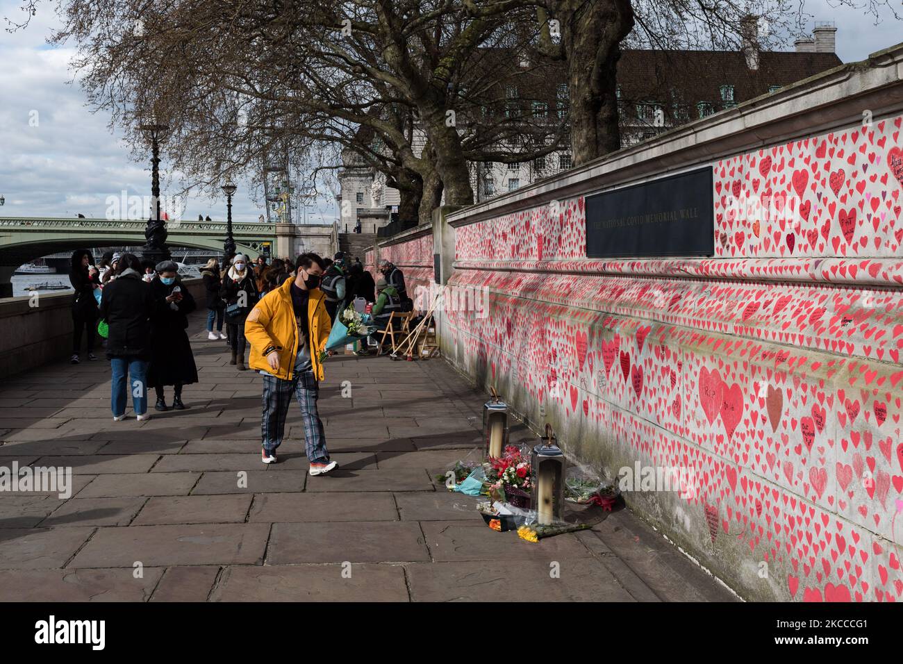 LONDON, UNITED KINGDOM - APRIL 07, 2021: A member of the public lays flowers at a memorial for the victims of Covid-19 outside St Thomas’ Hospital on 07 April, 2021 in London, England. The mural, set up by Covid-19 Bereaved Families for Justice on Monday last week, has so far seen around 130,000 hand-drawn hearts placed on a kilometre-long section of wall facing the Houses of Parliament. (Photo by WIktor Szymanowicz/NurPhoto) Stock Photo