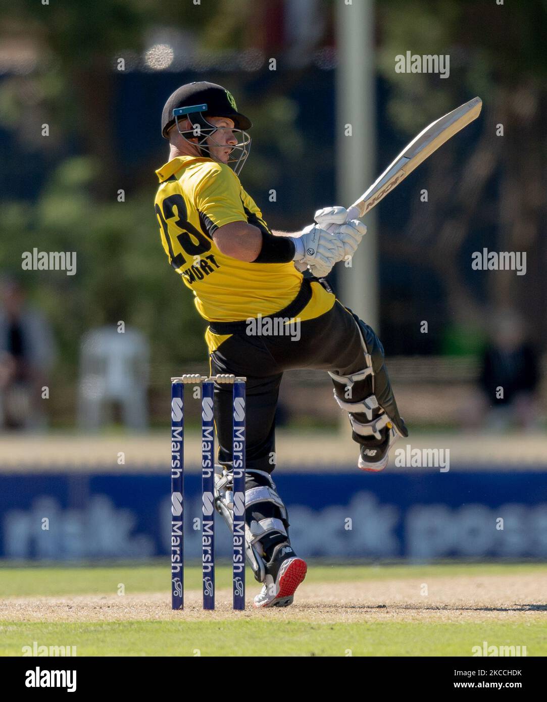 Darcy short of western australia bats hires stock photography and