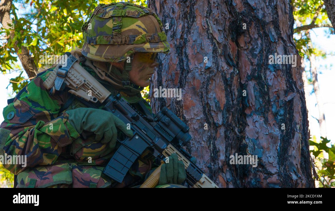Royal Netherlands Korps Mariniers wait for orders to assault. Stock Photo