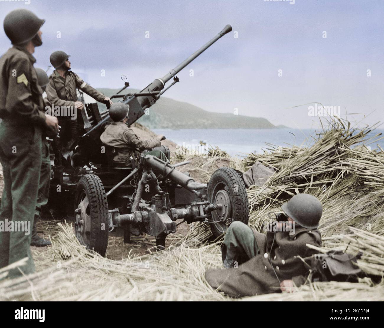 A U.S. artillery crew operates the anti-aircraft bofors gun in Algeria, circa 1943. Stock Photo
