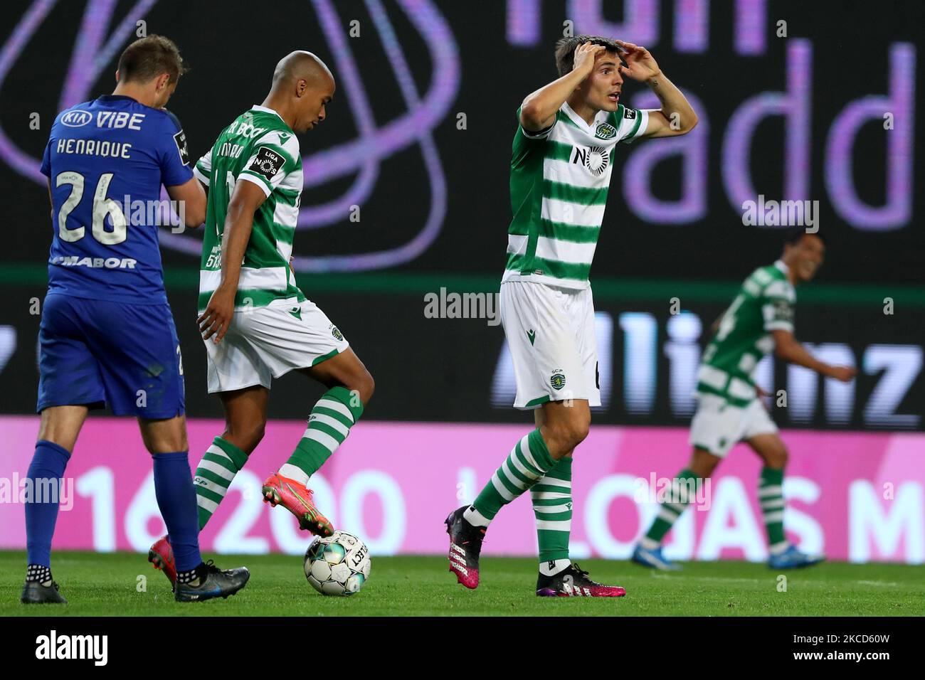 Joao Palhinha Of Sporting Cp Hi res Stock Photography And Images Alamy joao-palhinha-of-sporting-cp-hi-res-stock-photography-and-images-alamy