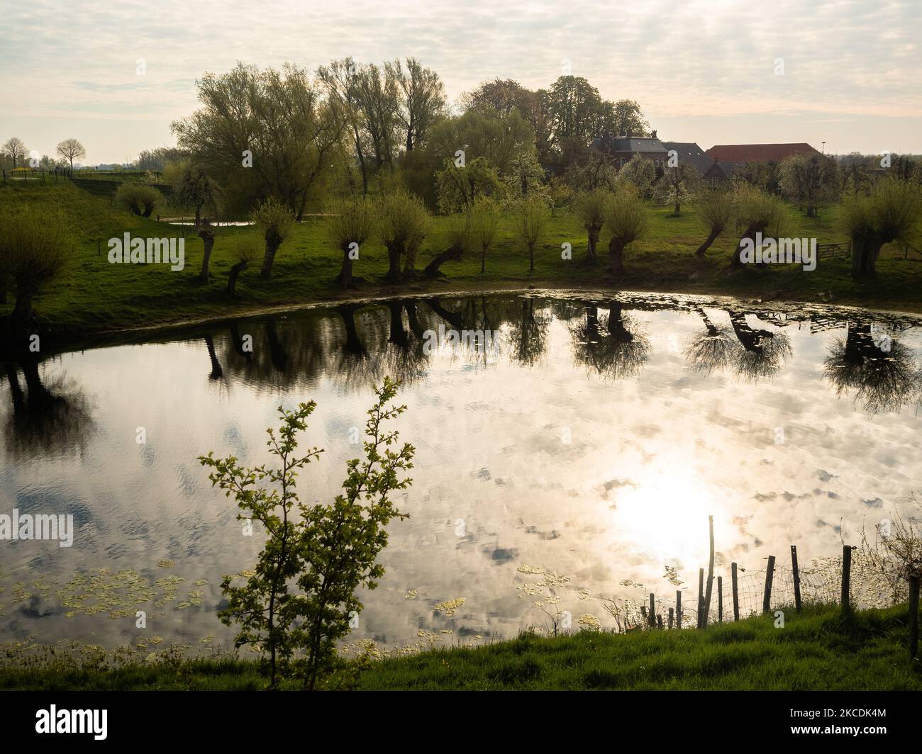 A view of a lake, during the Spring temperatures in The Netherlands, on April 28th, 2021. (Photo by Romy Arroyo Fernandez/NurPhoto) Stock Photo