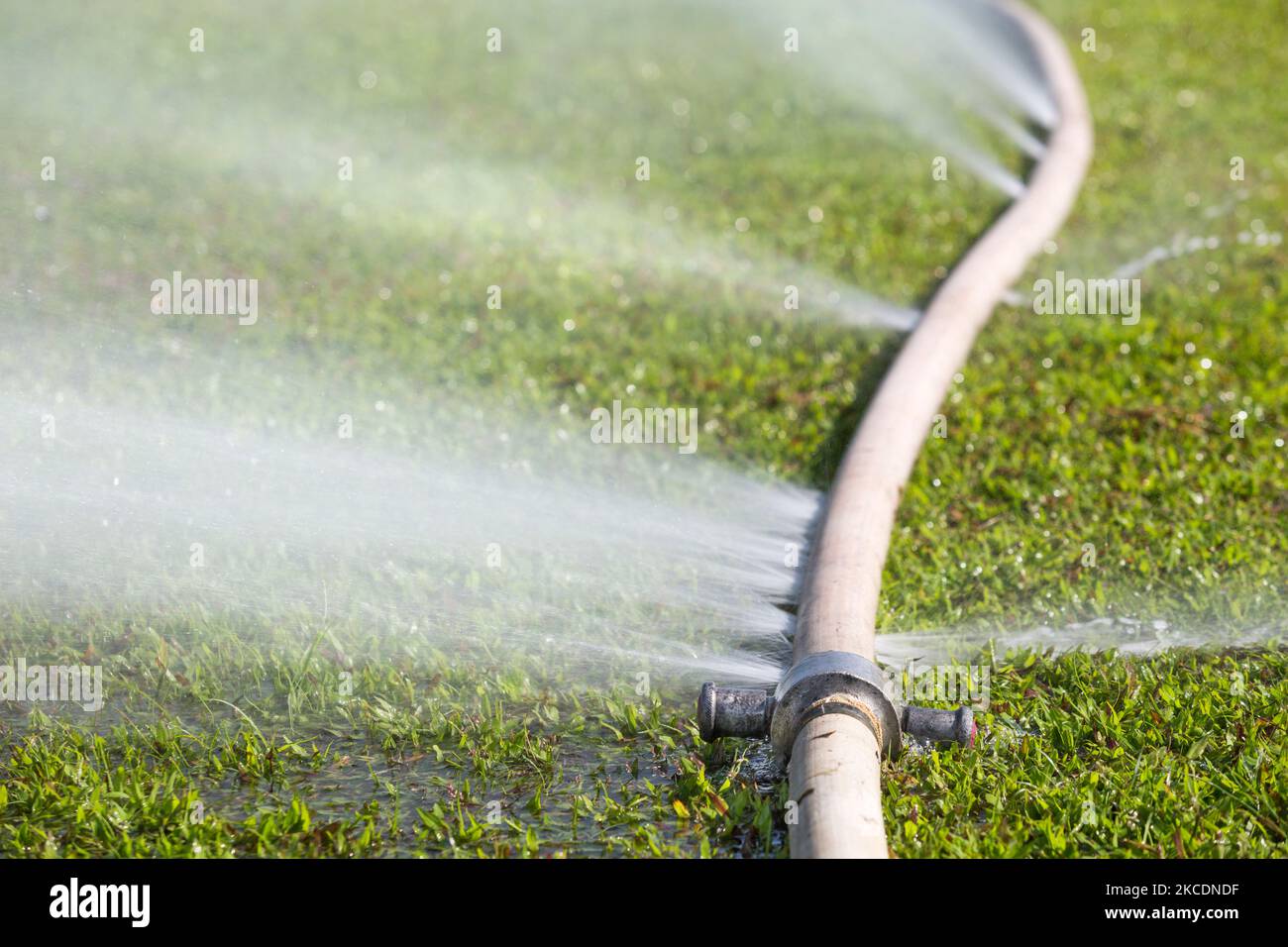 wasting water - water leaking from hole in a hose Stock Photo