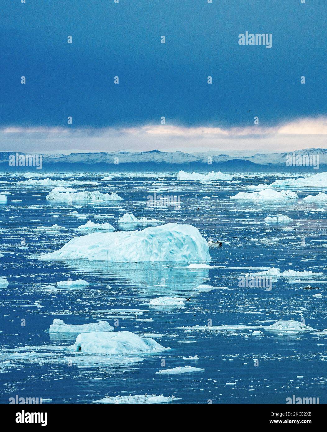 Icebergs near Ilulissat, Greenland. Climate change is having a profound ...