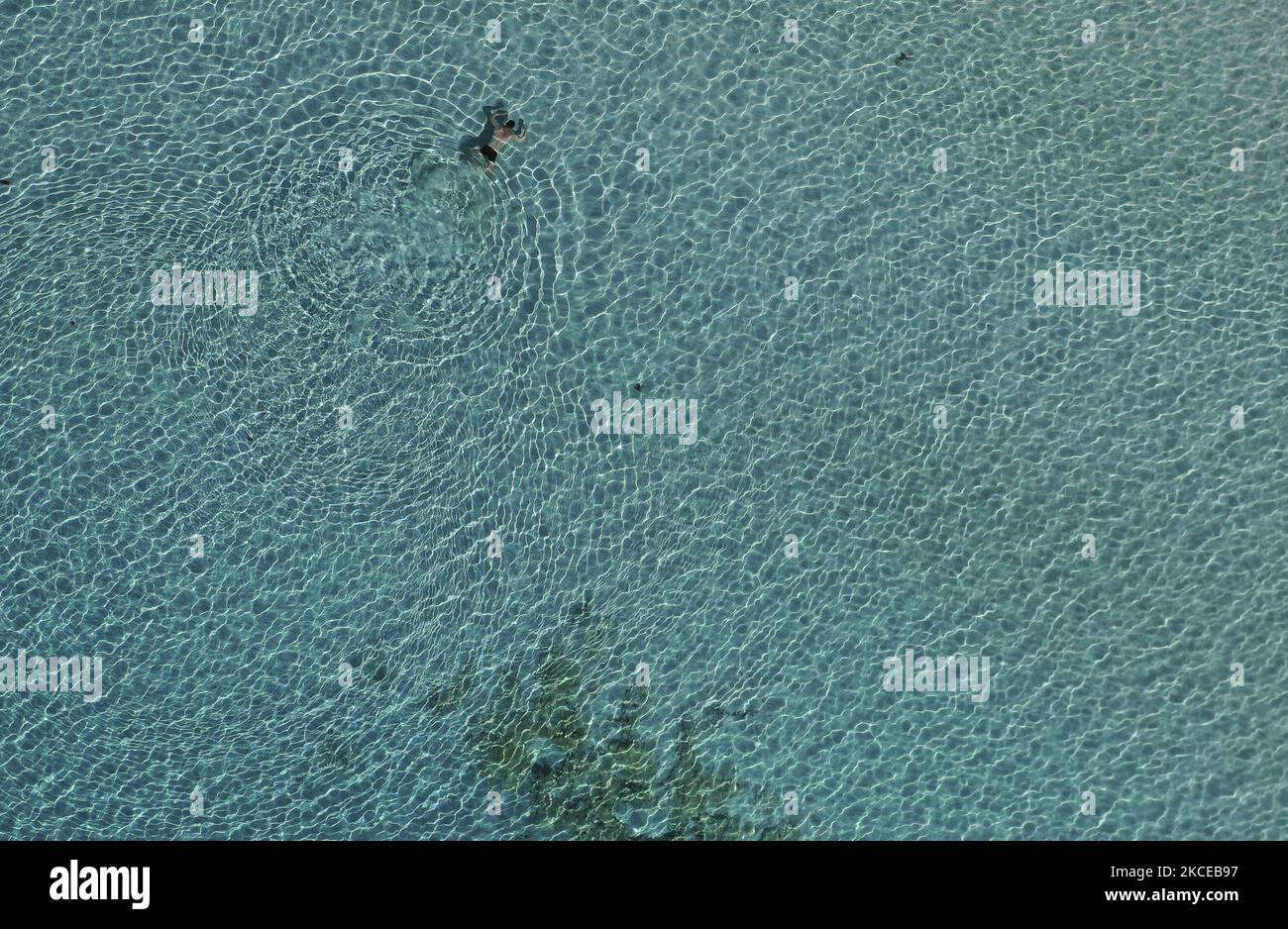 Certificate issued hi-res stock photography and images - Alamy