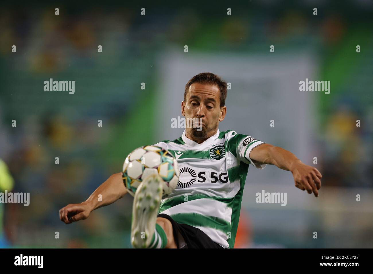 João Pereira in action during the game for Liga NOS between Sporting CP and Maritimo, at Estadio José Alvalade, Lisboa, Portugal, 19, May, 2021 (Photo by João Rico/NurPhoto) Stock Photo