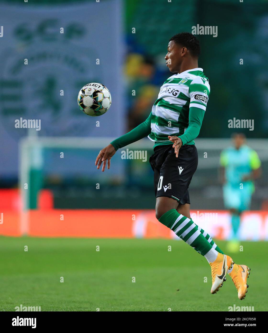 Gonzalo Plata of Sporting CP in action during the Liga NOS match ...