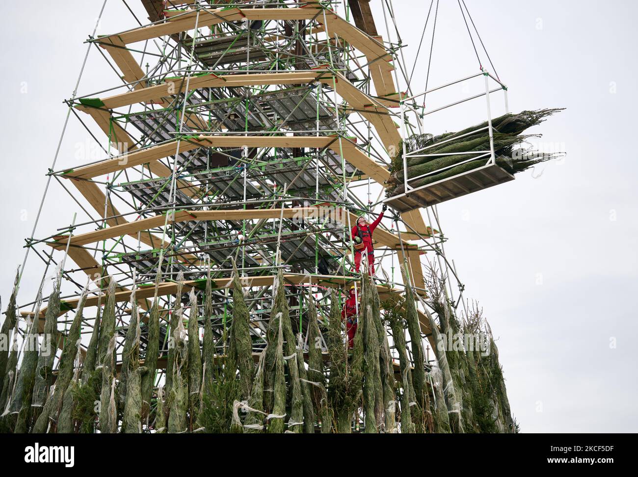 Hansaplatz Dortmund Germany 03rd Nov 2022 The Tree For The hansaplatz-dortmund-germany-03rd-nov-2022-the-tree-for-the