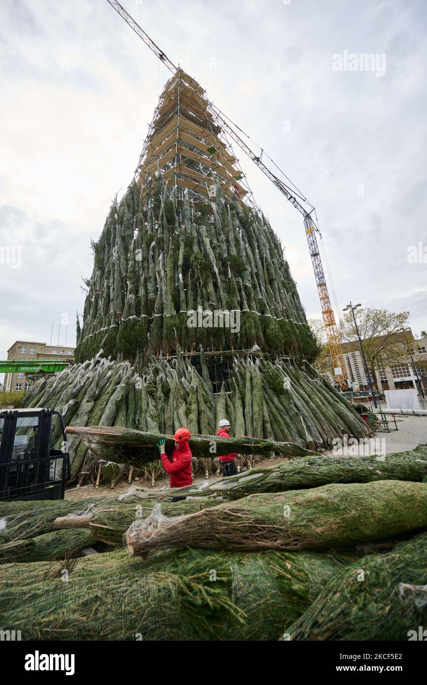 Hansaplatz Dortmund Germany 03rd Nov 2022 The Tree For The hansaplatz-dortmund-germany-03rd-nov-2022-the-tree-for-the