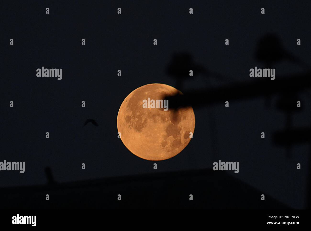 Super flower blood moon of May 2021 is seen in Srinagar, Kashmir.A