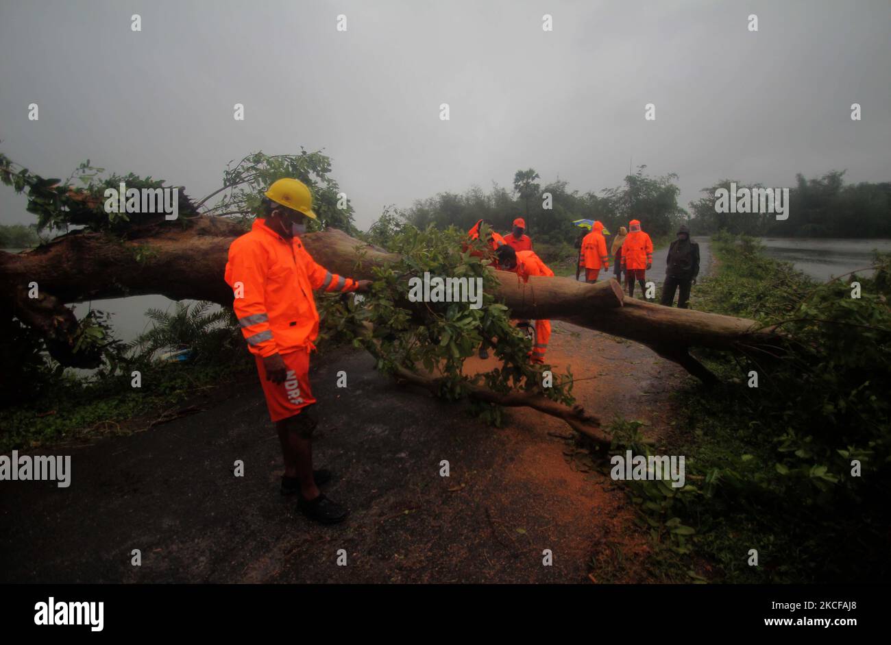NDRF personals removing uprooted tree and electric pole at Bahanaga village, IMD predicted landfall zone of Bay of Bengal's cyclonic storm ''Yaas'' in Balasore district north parts of the eastern indian state odisha's capital city Bhubaneswar (Photo by STR/NurPhoto) Stock Photo
