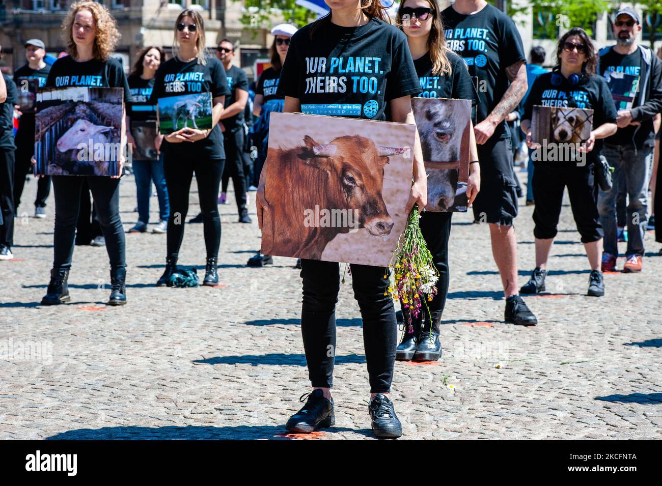Hundreds of animal activists are holding pictures of animal cruelty ...