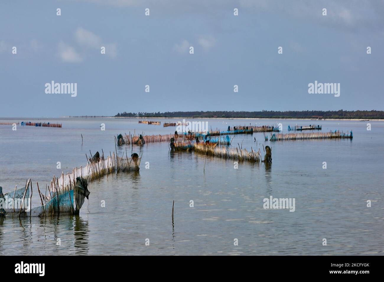 Fishing nets near Kurikadduwan harbour in the Jaffna region of Sri