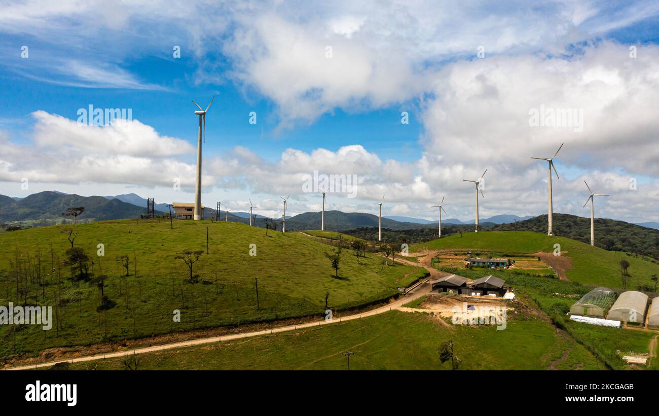 Group of windmills for renewable electric energy production. Wind Power Station. Ambewela, Sri
