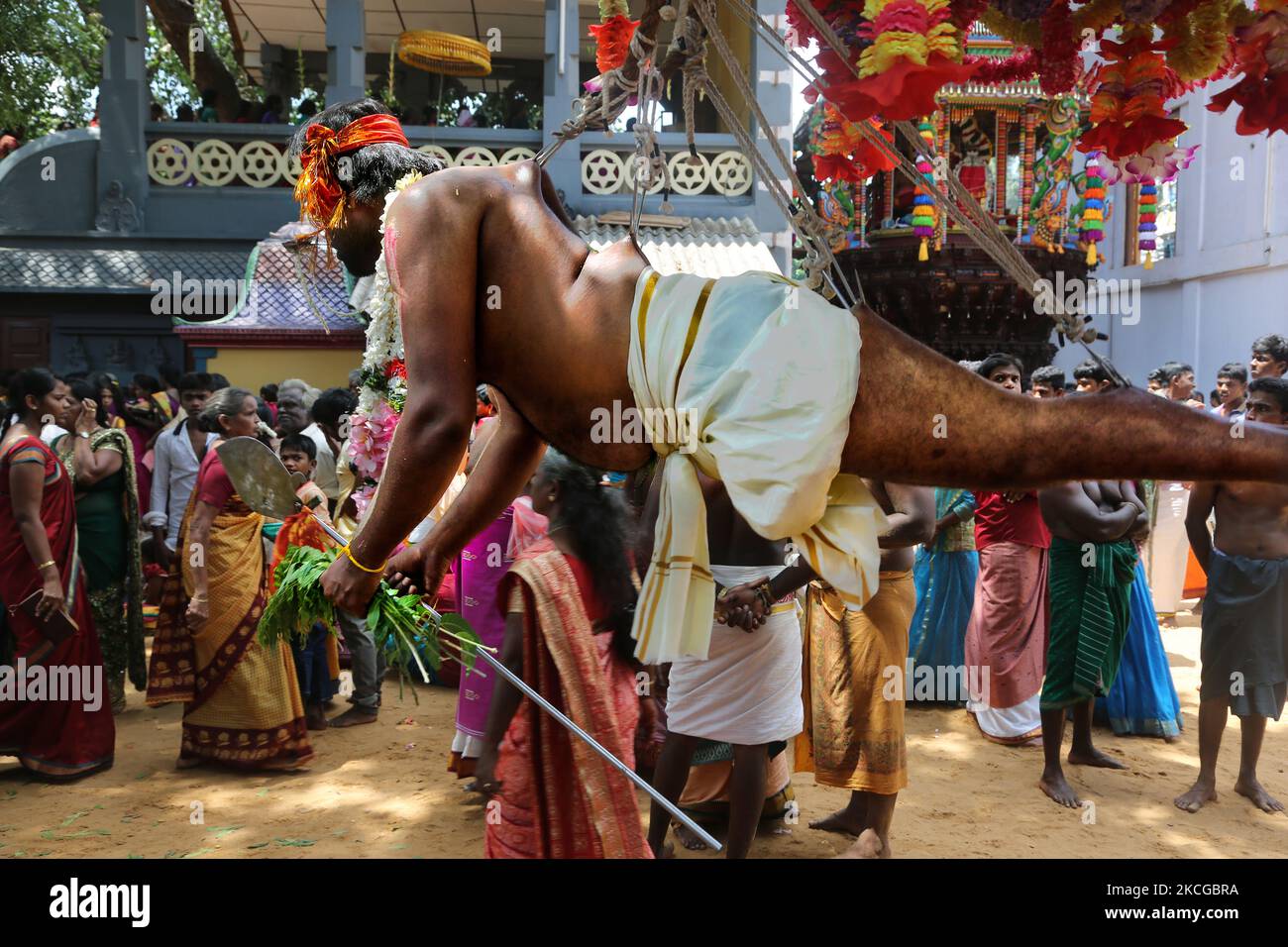 Tamil Hindu devotee performs the para-kavadi ritual (where he is ...