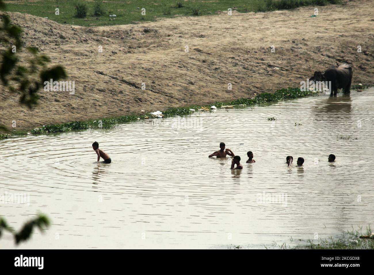Young boys cool themselves off in a pond near the river Yamuna on a hot summer day in New Delhi, India on June 24, 2021. According to the Meteorological Department, the monsoon is not expected to arrive throughout the month and by then there is no respite from the heat. The temperature in Delhi is likely to hover around 40 degrees Celsius in the coming 7 days. (Photo by Mayank Makhija/NurPhoto) Stock Photo