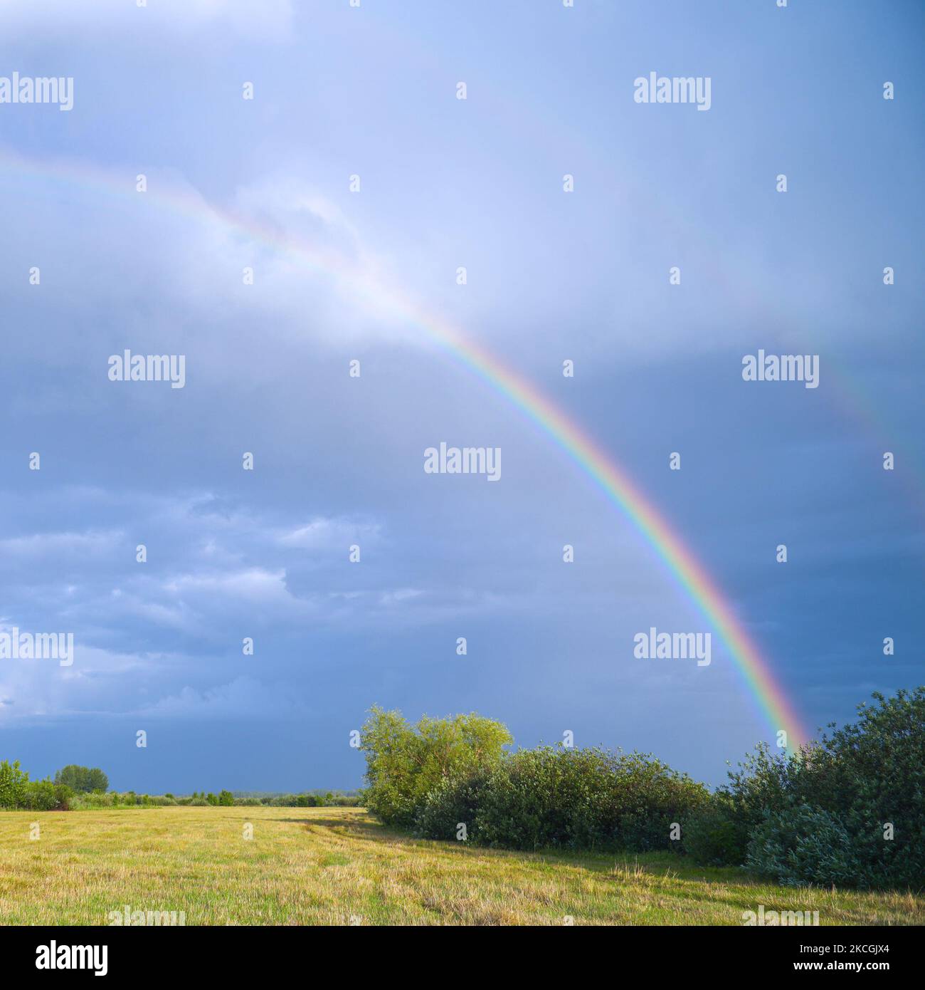 Rainbow on the background of storm clouds over a mown meadow Stock Photo