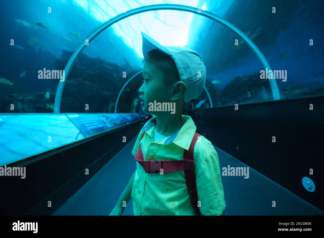 Asian young child standing in underwater tunnel at the aquarium. Kids looking excited and fun to see fish. Stock Photo