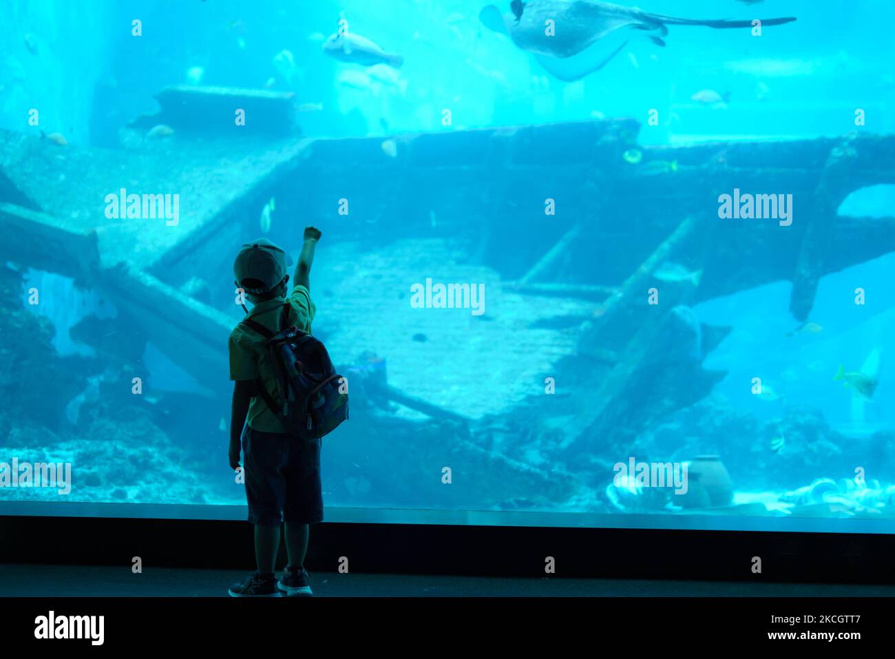Asian young child standing and pointing fish in a tank with his finger at the aquarium. Kids looking excited and fun to see fish. Stock Photo