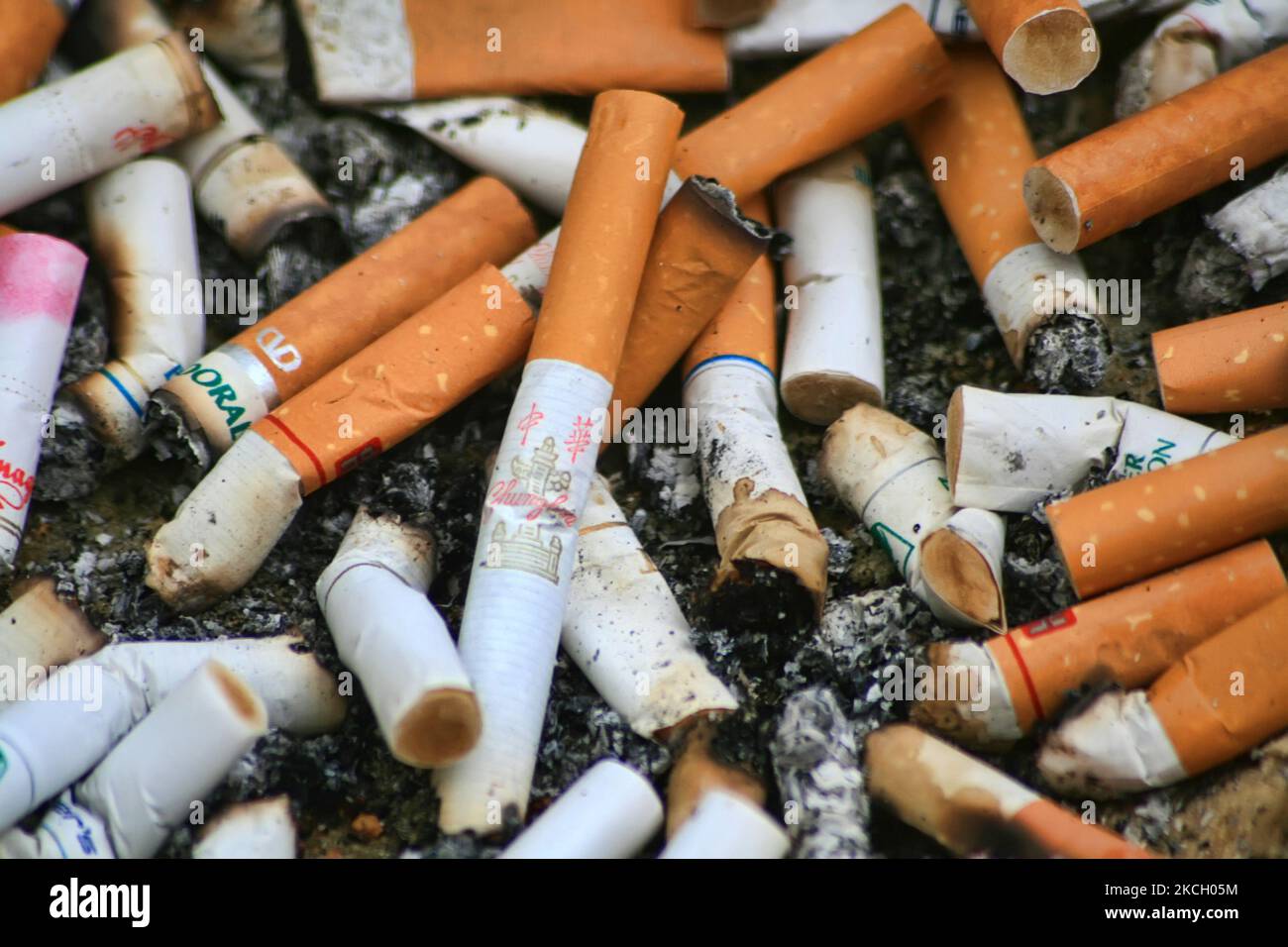 Close-up of cigarette butts in Gatineau, Quebec, Canada. (Photo by Creative  Touch Imaging Ltd./NurPhoto Stock Photo