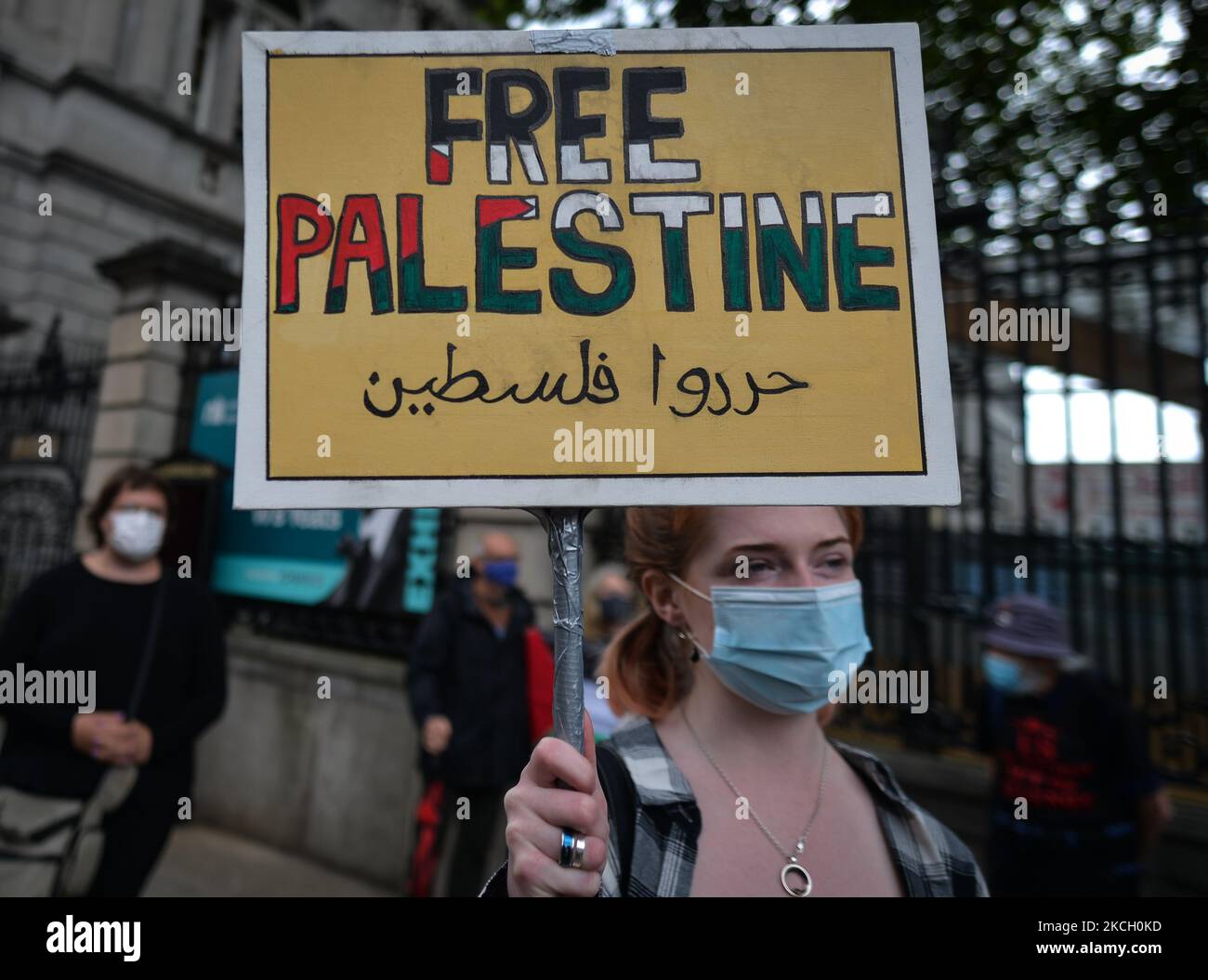 Pro-Palestinian protesters seen outside Leinster House in Dublin
