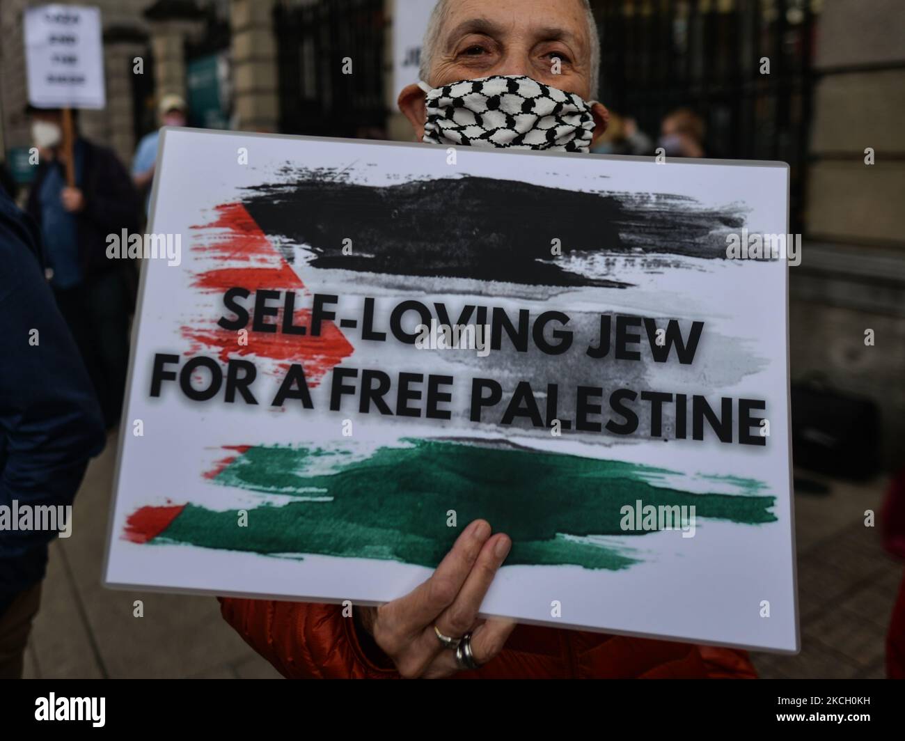 Pro-Palestinian protesters seen outside Leinster House in Dublin
