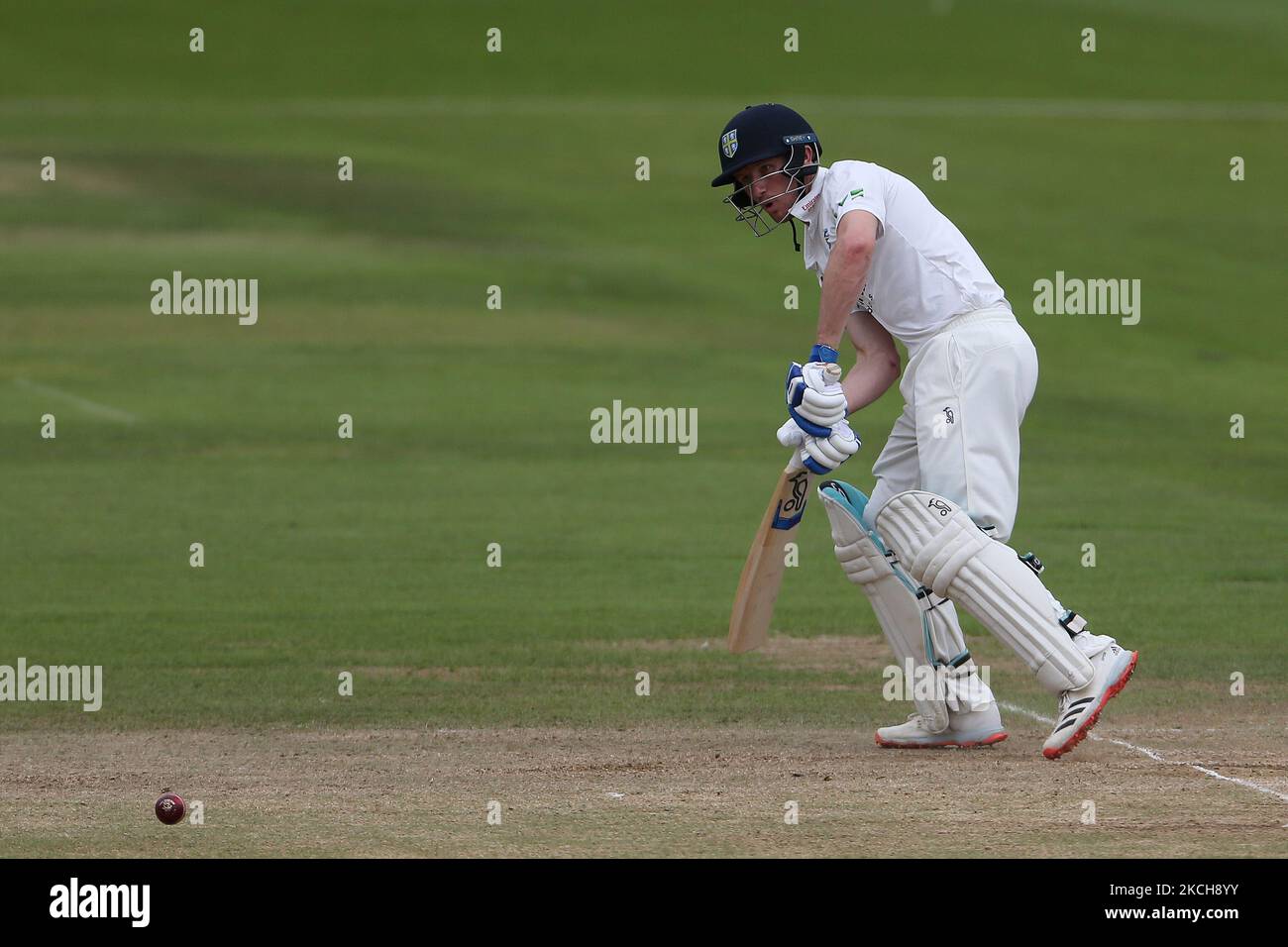 Cameron bancroft hires stock photography and images Alamy