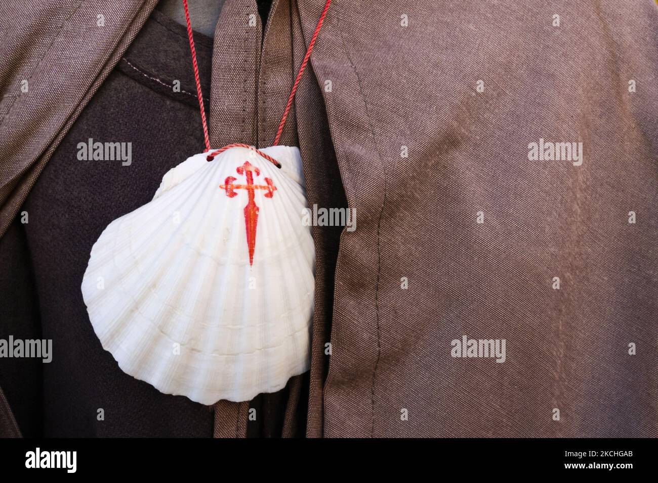 Detail of the typical scallop shell, which has become a symbol of the ...